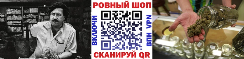 Виды наркотиков купить Семикаракорск Галлюциногенные грибы  Амфетамин  A-PVP  Героин  Мефедрон  Cocaine  ГАШ 