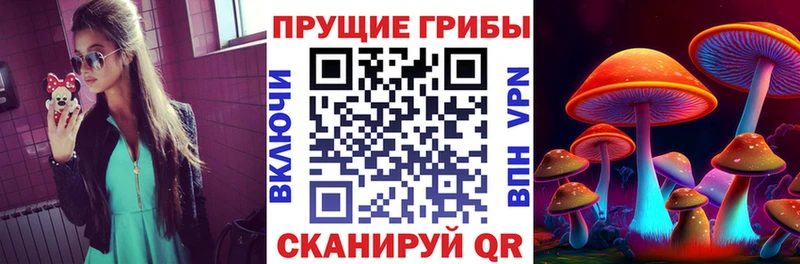 это клад  Семикаракорск  Галлюциногенные грибы Psilocybe 